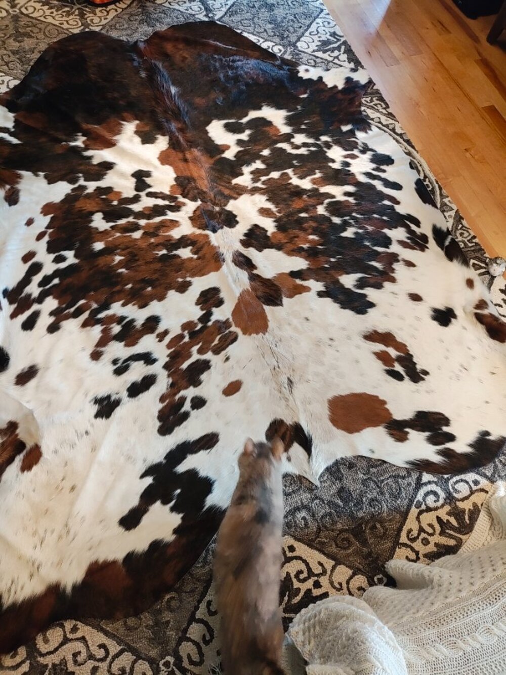 Cow Hide - Picture 3 of 5